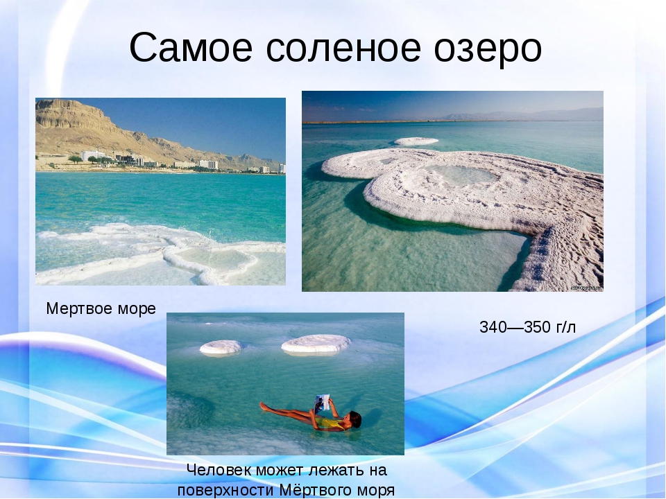 Самое соленое море на земле