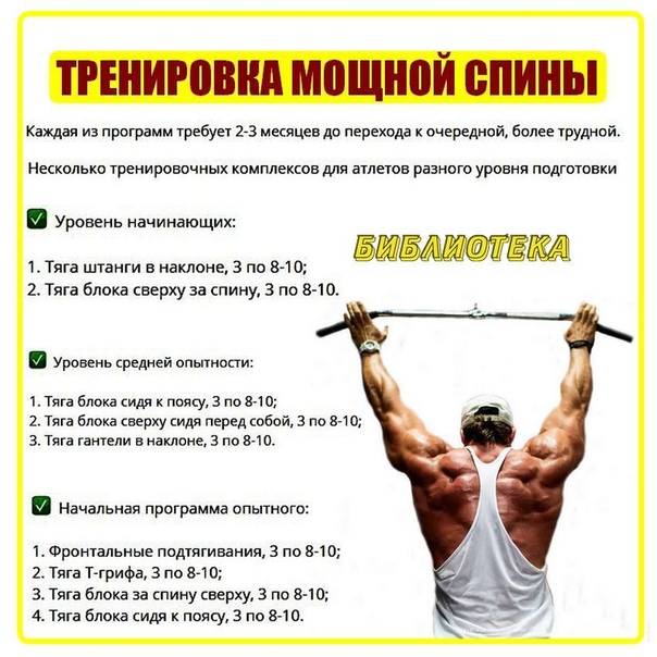 Лучшие упражнения для спины в тренажерном зале для мужчин на развитие массы, ширины и рельефа