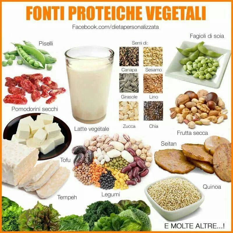 Продукты содержащие белок в большом количестве для мясоедов и вегетарианцев