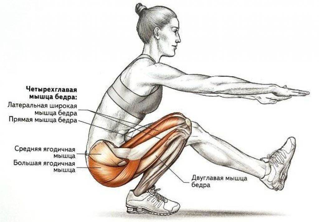 Изометрическая (статическая) тренировка на ноги и ягодицы