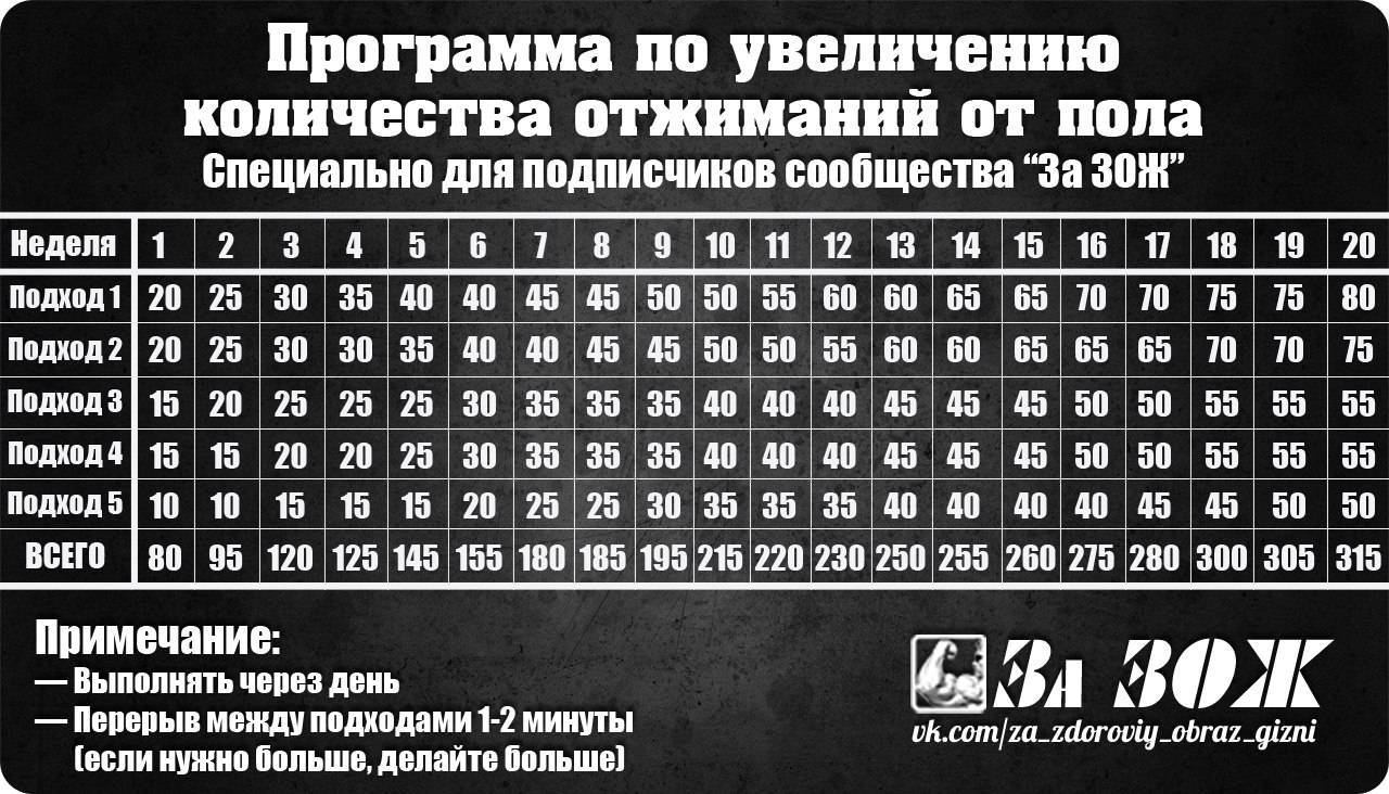 Как правильно отжиматься от пола мужчинам: техника выполнения отжиманий с нуля, чтобы накачать грудные мышцы и трицепсы