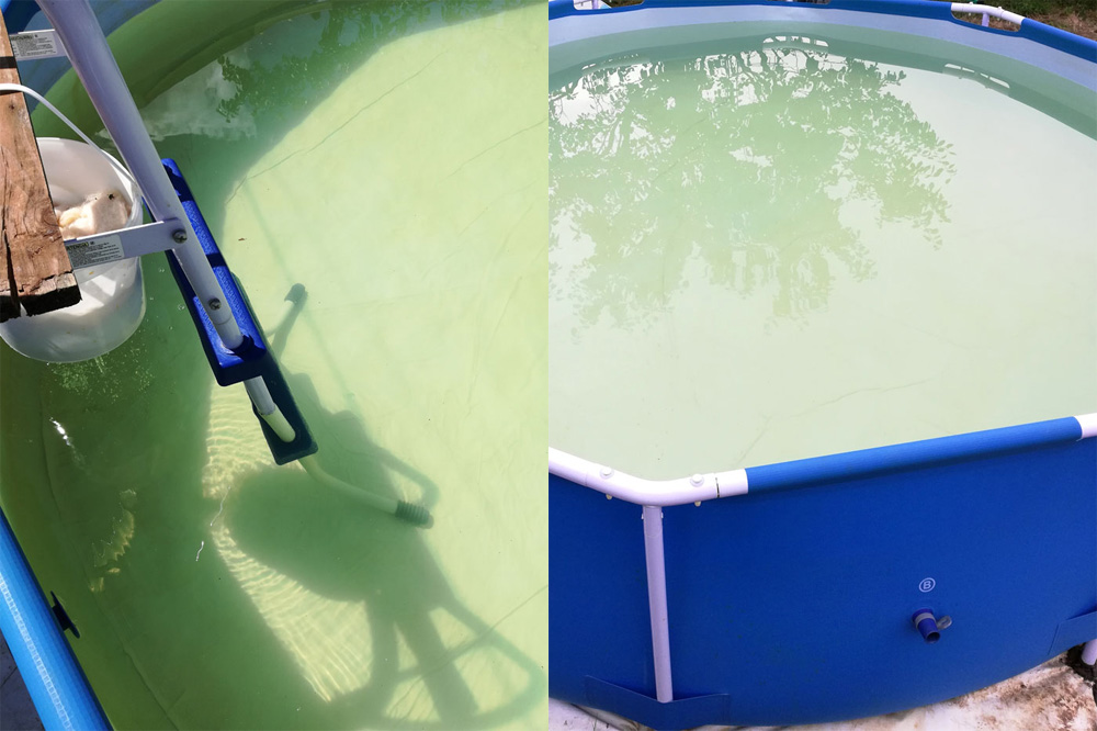 Чем можно самостоятельно почистить воду в бассейне
