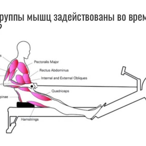 Какие мышцы работают при занятиях на эллиптическом тренажёре