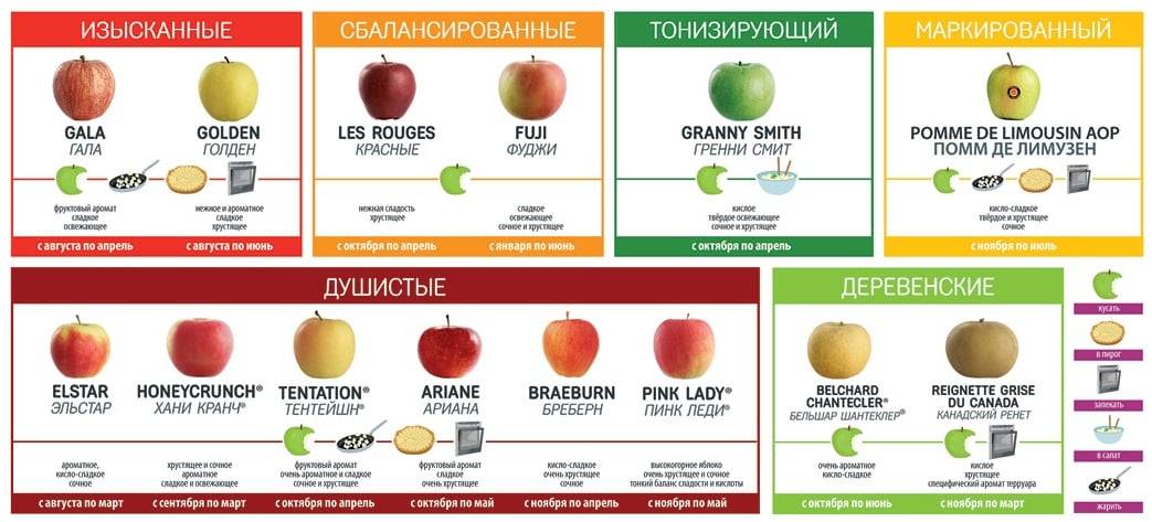 Калорийность яблока красного сладкого