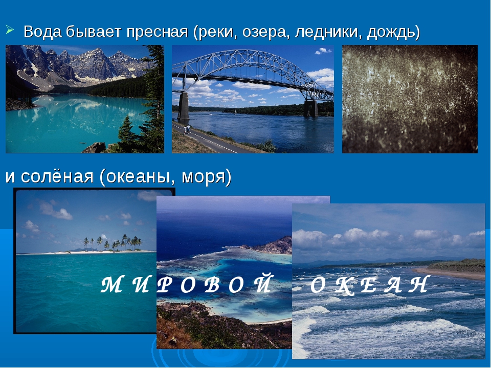 Почему в море вода соленая, а в реках пресная, чем это объясняется, бывают ли непресные речки? | house-fitness.ru