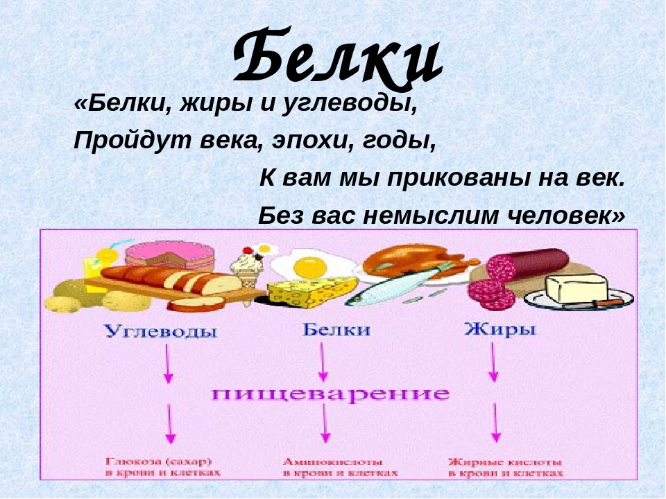 Белки в организме презентация