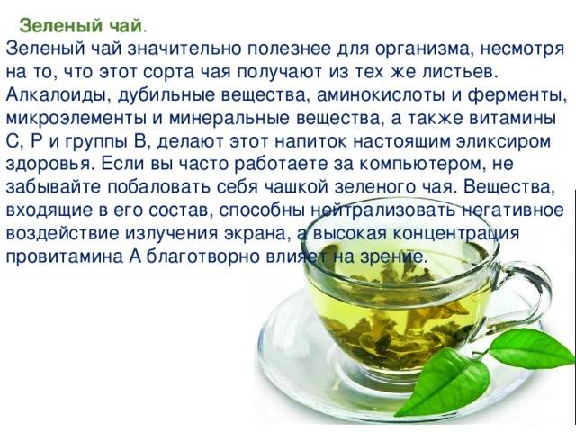 Мифы о чае - teapravda.com