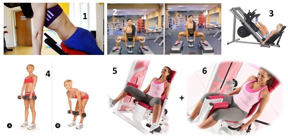 Комплексная тренировка для ног: лучшие упражнения для набора массы (с видео)