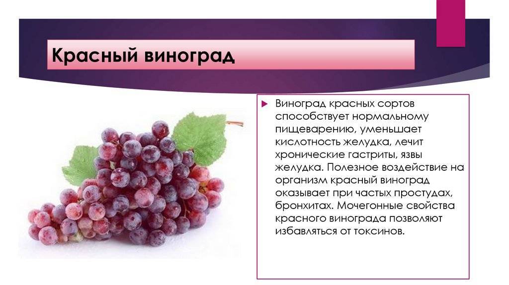 Виноград - калорийность, полезные свойства, противопоказания