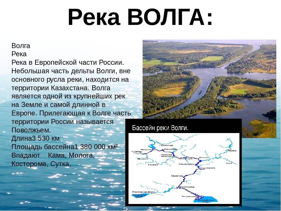 Река амур — исток, притоки, бассейн, устье, россия, на карте, питание, режим, падение - 24сми