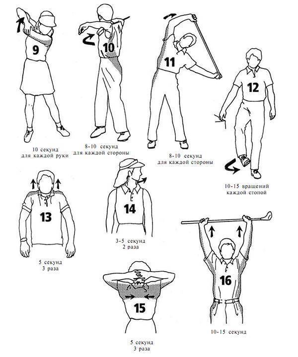 Упражнения для мышц рук и плечевого пояса. атлетическая гимнастика без снарядов