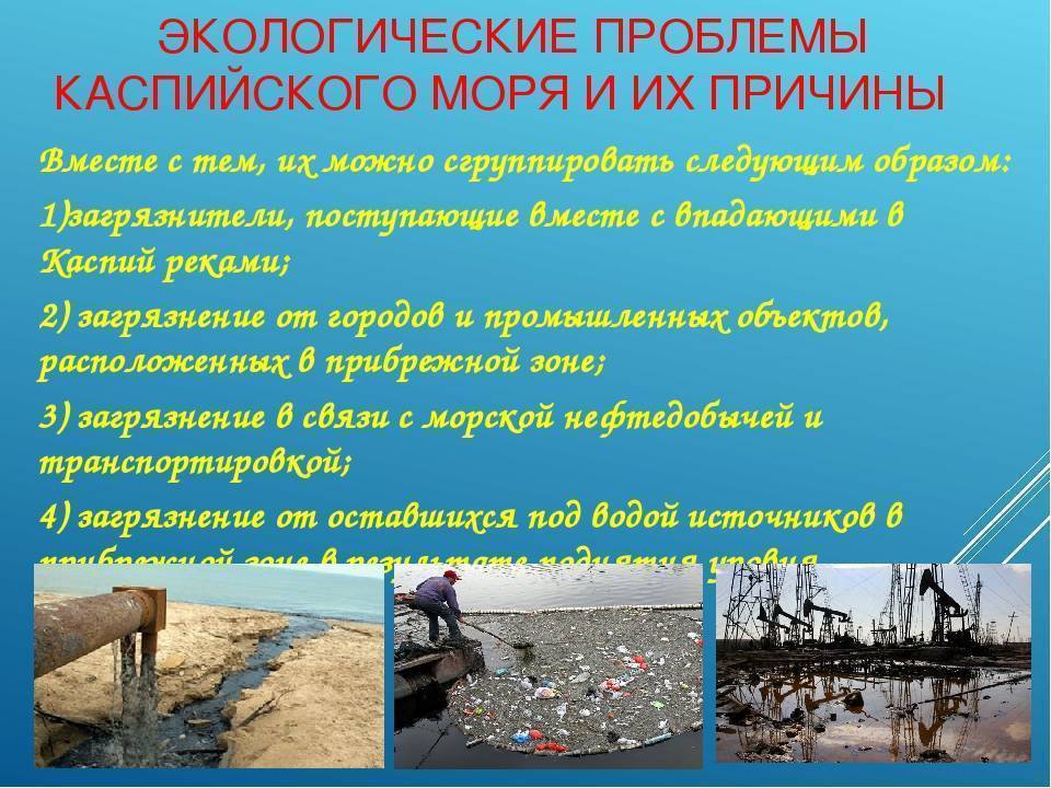 Какова ситуация с загрязнением воды в россии? причины экологического неблагополучия и методы его разрешения