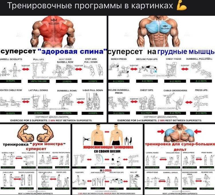 Как растут мышцы и как тренироваться, чтобы они росли? - fitlabs / ирина брехт
