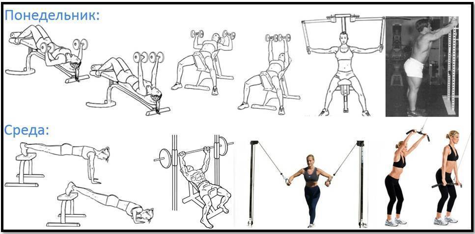 Упражнения для грудных мышц для женщин в домашних условиях и в тренажерном зале :: syl.ru