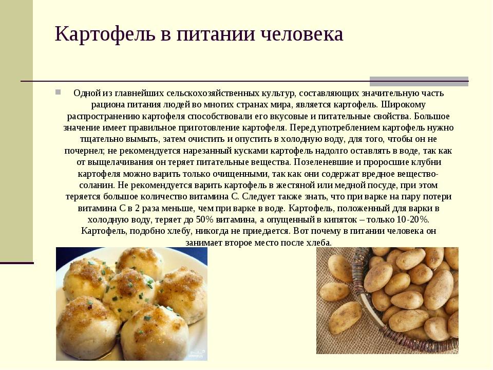 Пп блюда из картофеля - диетическая запеченная картошка, рецепт в духовке, фри, жареная - glamusha