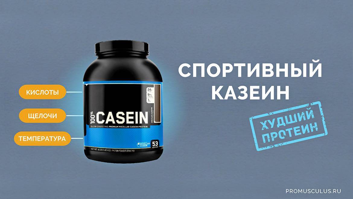 Казеин: что это такое, для чего он нужен и из чего его делают