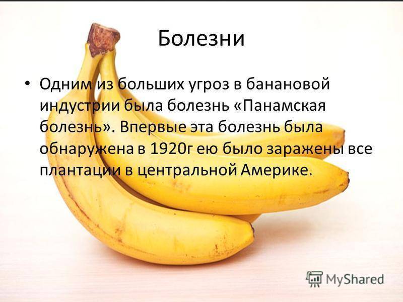 Калорийность сушеных бананов, польза и вред банановых чипсов