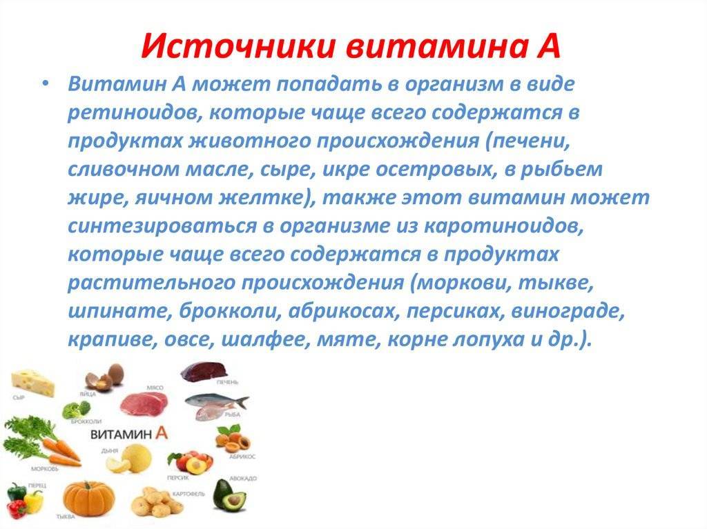 Продукты питания богатые витамином а (топ-100 натуральных источников)