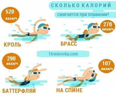 Cколько калорий сжигается при плавании в бассейне за 1 час и за 30 минут - расход и затраты брассом, кролем