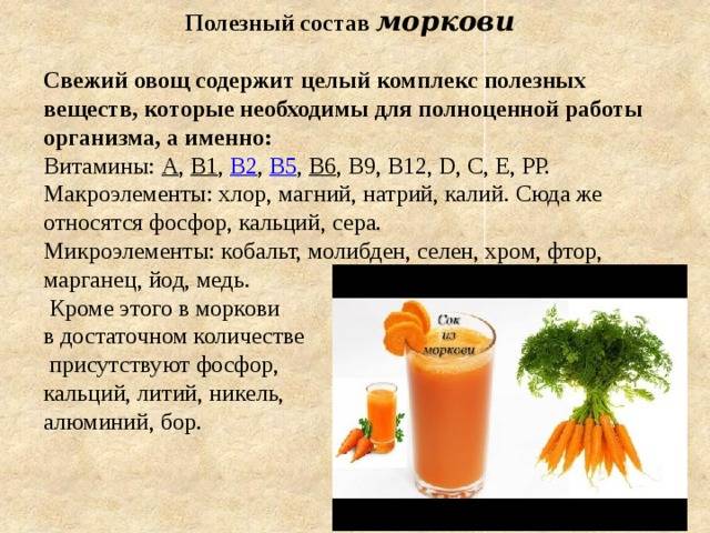 Морковь: состав, польза и вред