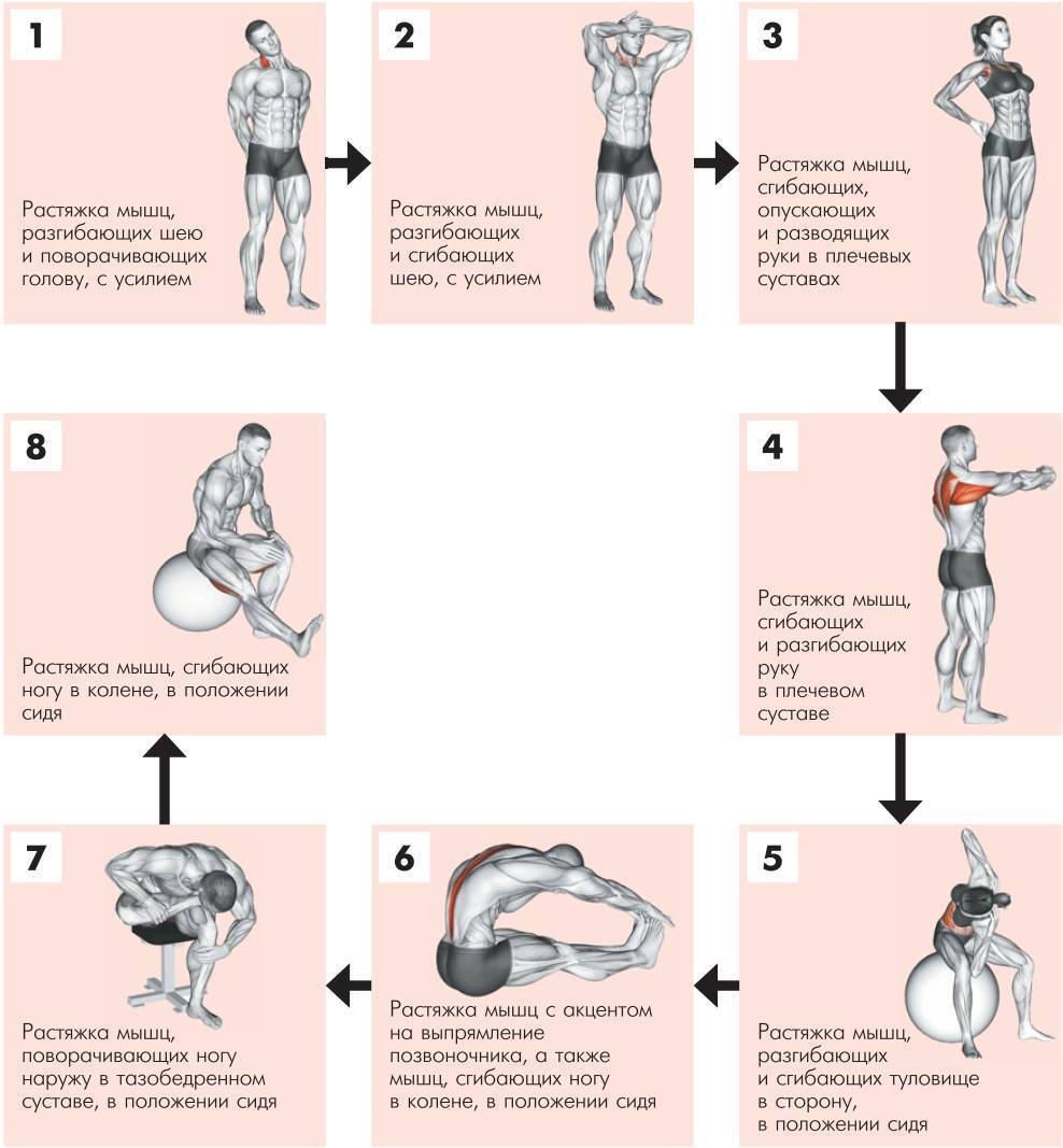 План конспект стретчинг тренировки