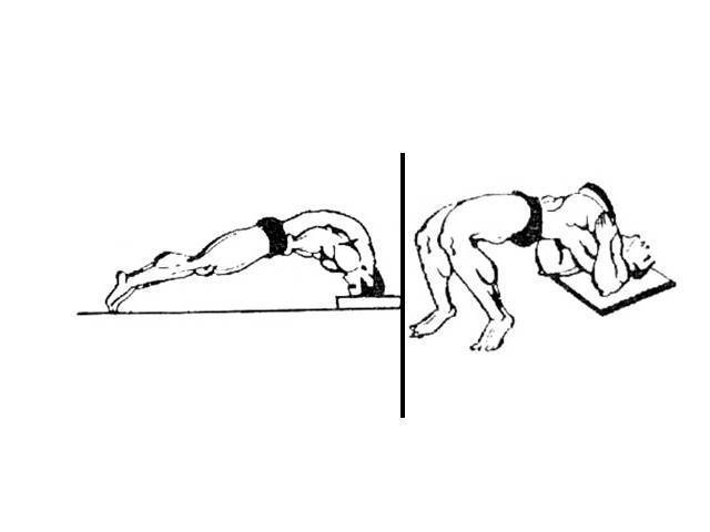 Как накачать шею- программа тренировок в тренажерном зале и дома
