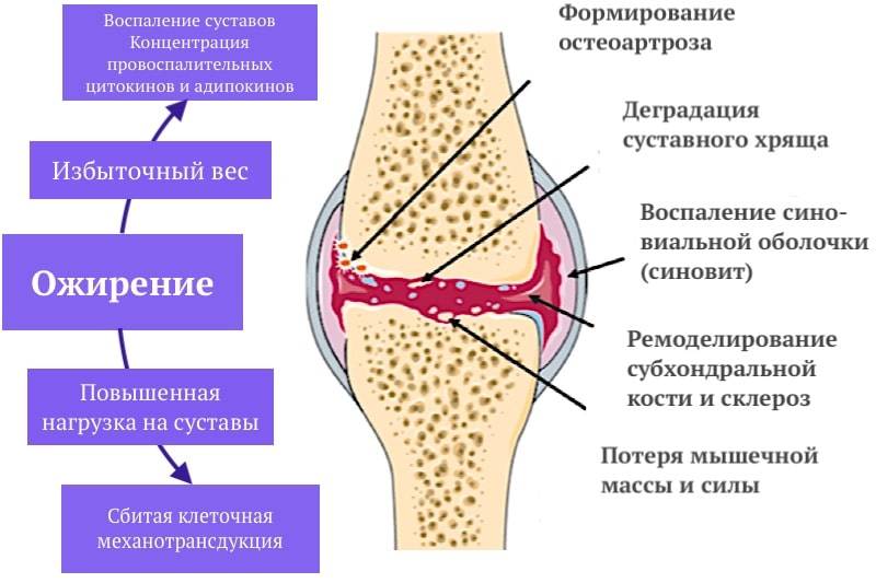 Почему стало модно лежать на валике из полотенца и так ли это полезно для спины?