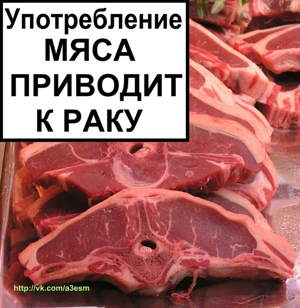 Ученые выяснили, что красное мясо вызывает рак… или нет? - foodmedia.ru
