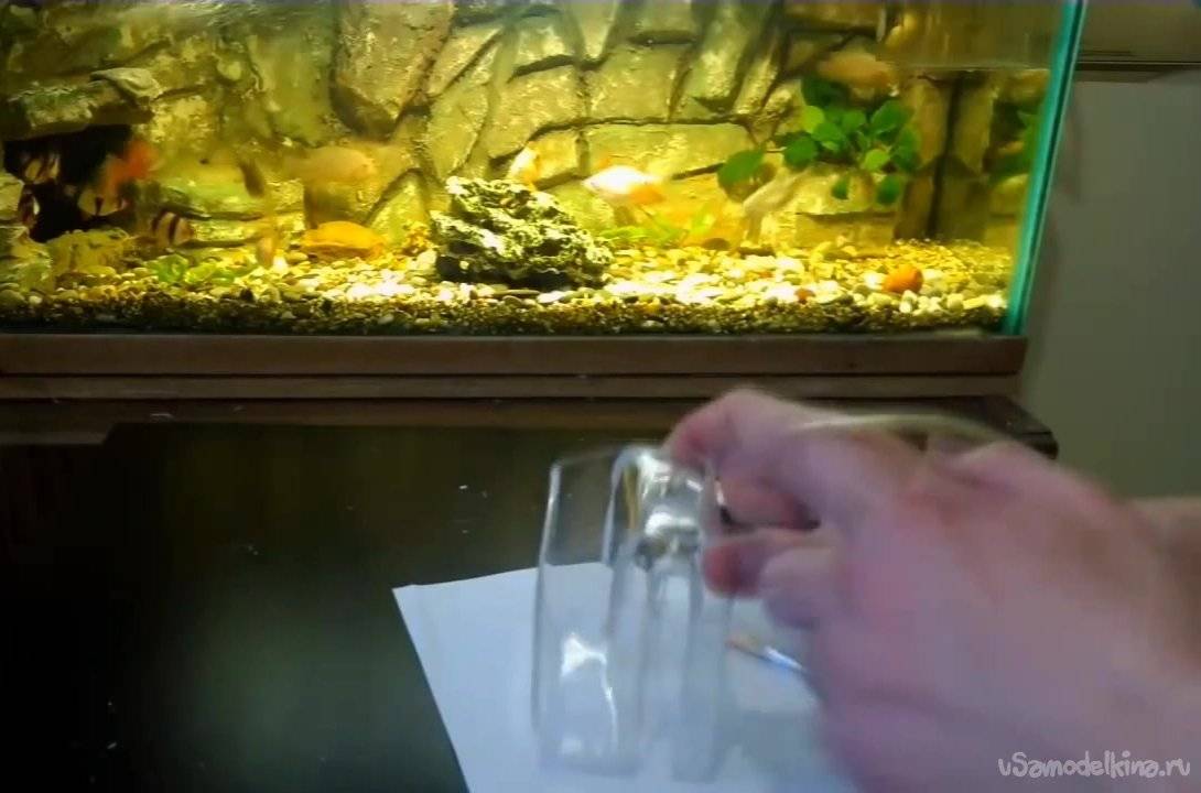 Отвечаем на вопрос — как легче вылить воду из аквариума, используя резиновый шланг