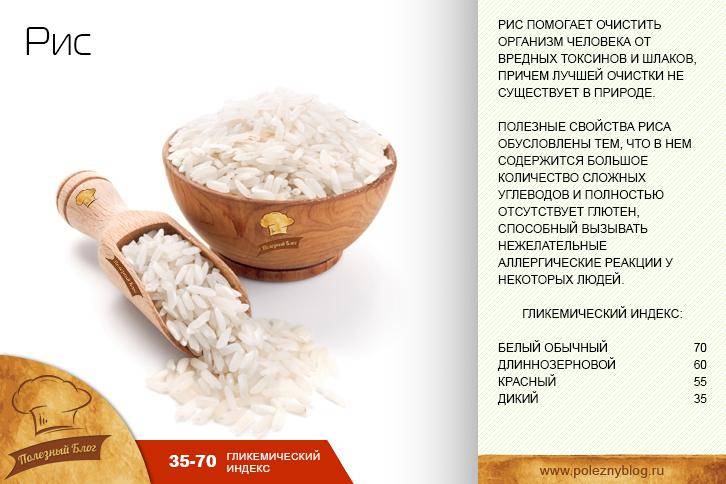 Хлебные злаки: виды, характеристики, выращивание. хлебные зерновые культуры :: syl.ru
