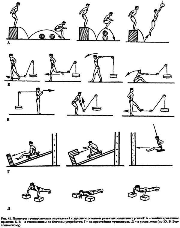 Упражнения на силу с картинками