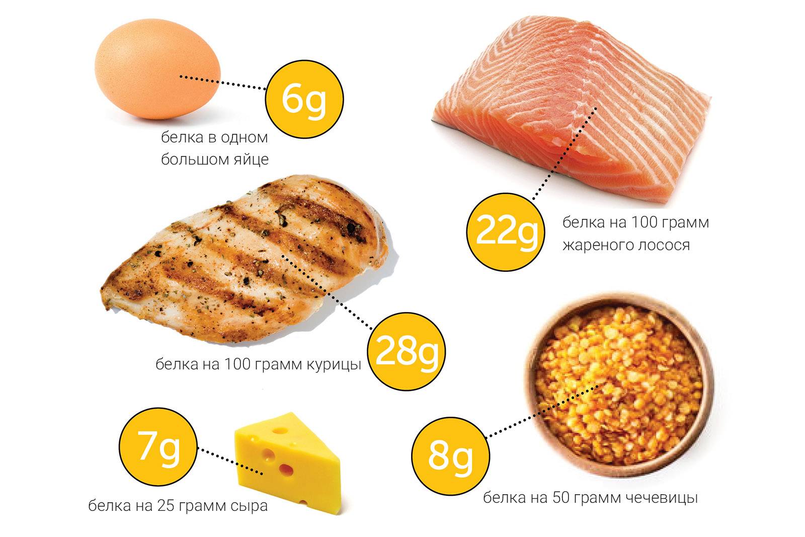 30 граммов белка в продуктах, протеин в пище