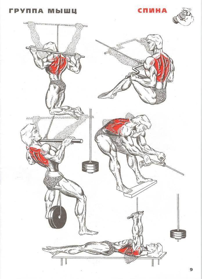Тренировка спины в тренажерном зале: лучшие упражнения для мужчин