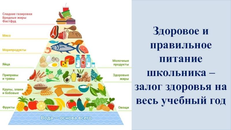 Что такое пирамида здорового питания (пищевая пирамида) и ее основные принципы - sportfito — сайт о спорте и здоровом образе жизни