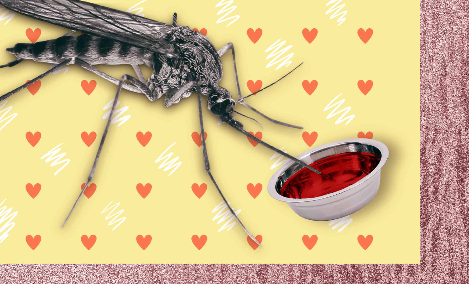 Людей с какой группой крови больше всего кусают комары, что приманивает кровососов