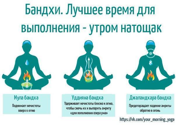 Уддияна-бандха-мудра —символ восходящего полета. йога-терапия. новый взгляд на традиционную йога-терапию