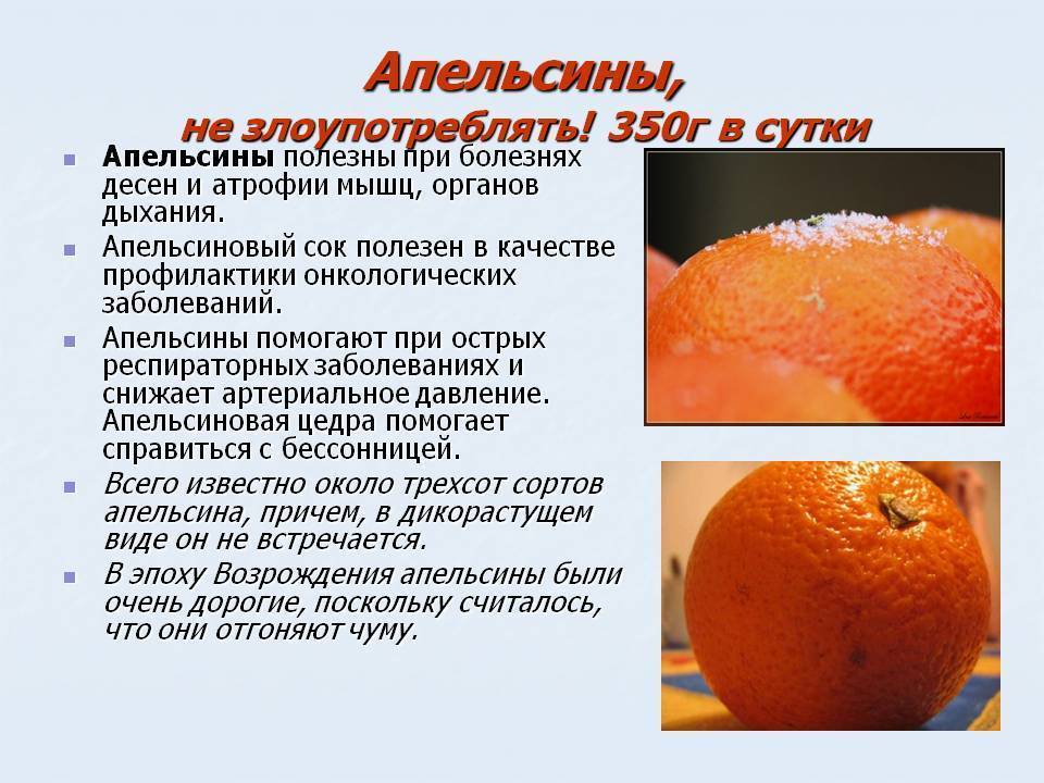 Апельсин - калорийность, польза и вред, полезные свойства