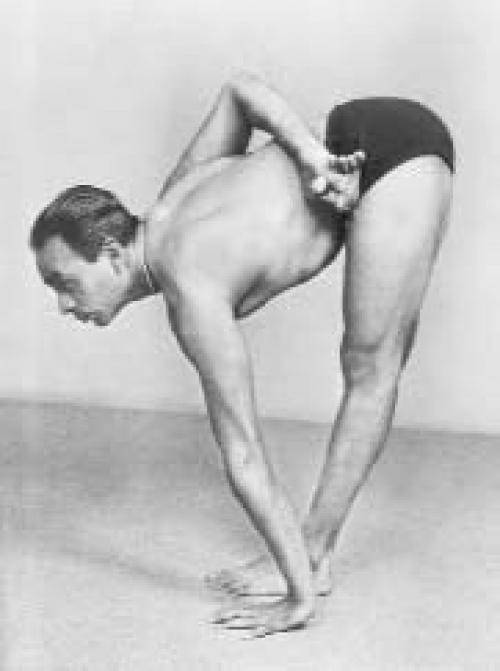 Ардха чандрасана: техника выполнения позы полумесяца в йоге