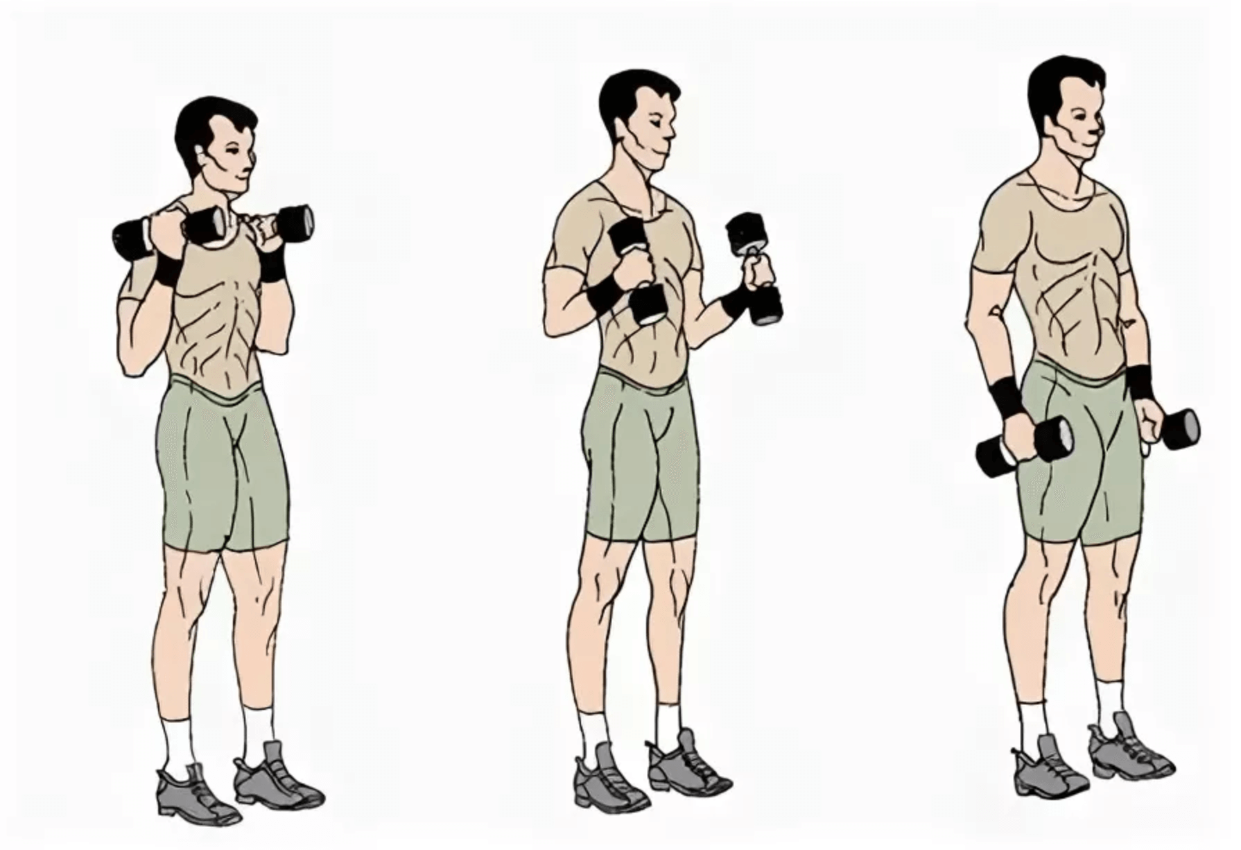 Топ 8 упражнений на бицепс с гантелями: программа тренировок накачать бицепс