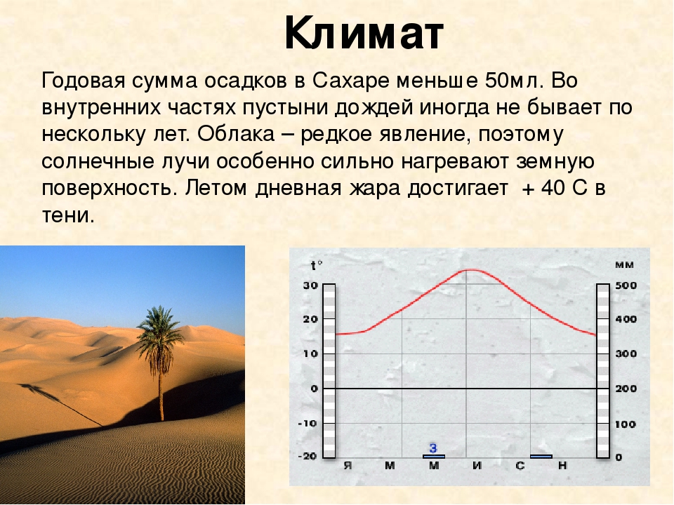 Какие климатические условия в пустыне. Климат Сахары. Пустыня сахара осадки. Климатограмма пустыни и полупустыни. Климатическая диаграмма Сахары.