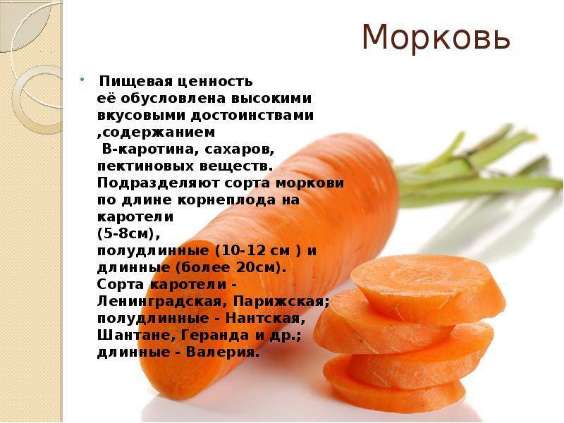 Тертая морковь: калорийность и бжу на 100 грамм, польза и вред для организма человека, рецепты с натертой морковкой