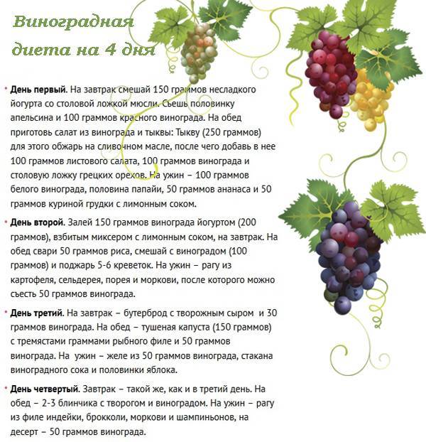 Виноград – полезные свойства, состав и противопоказания