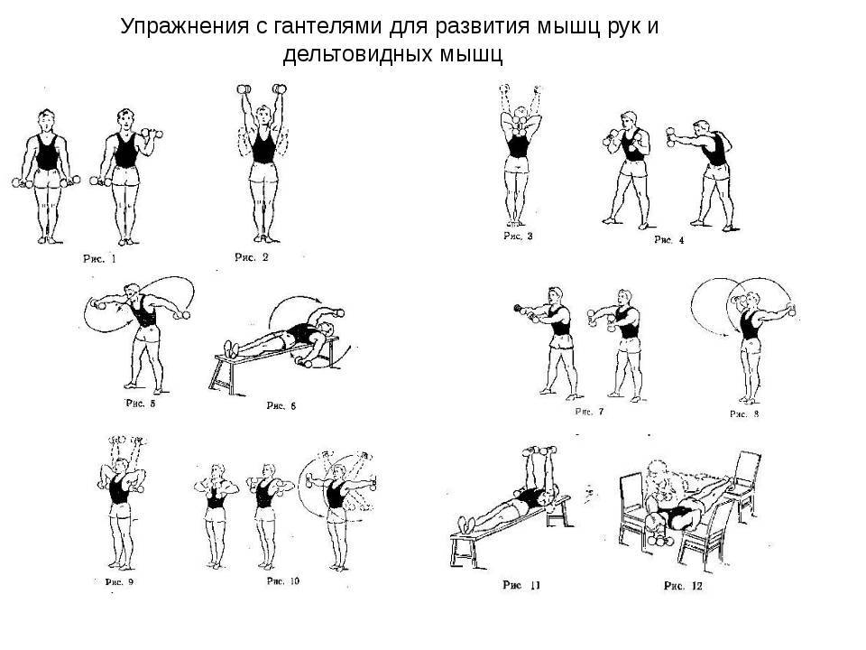 Тренируем трицепс в домашних условиях | rulebody.ru — правила тела