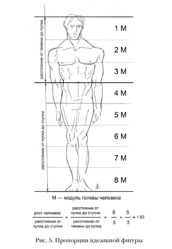 Идеальные пропорции женского тела: по росту в таблице, идеальная фигура