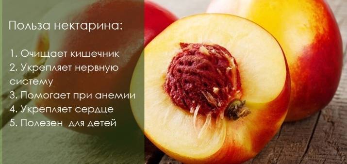 “персик — состав, калорийность, польза и возможный вред”