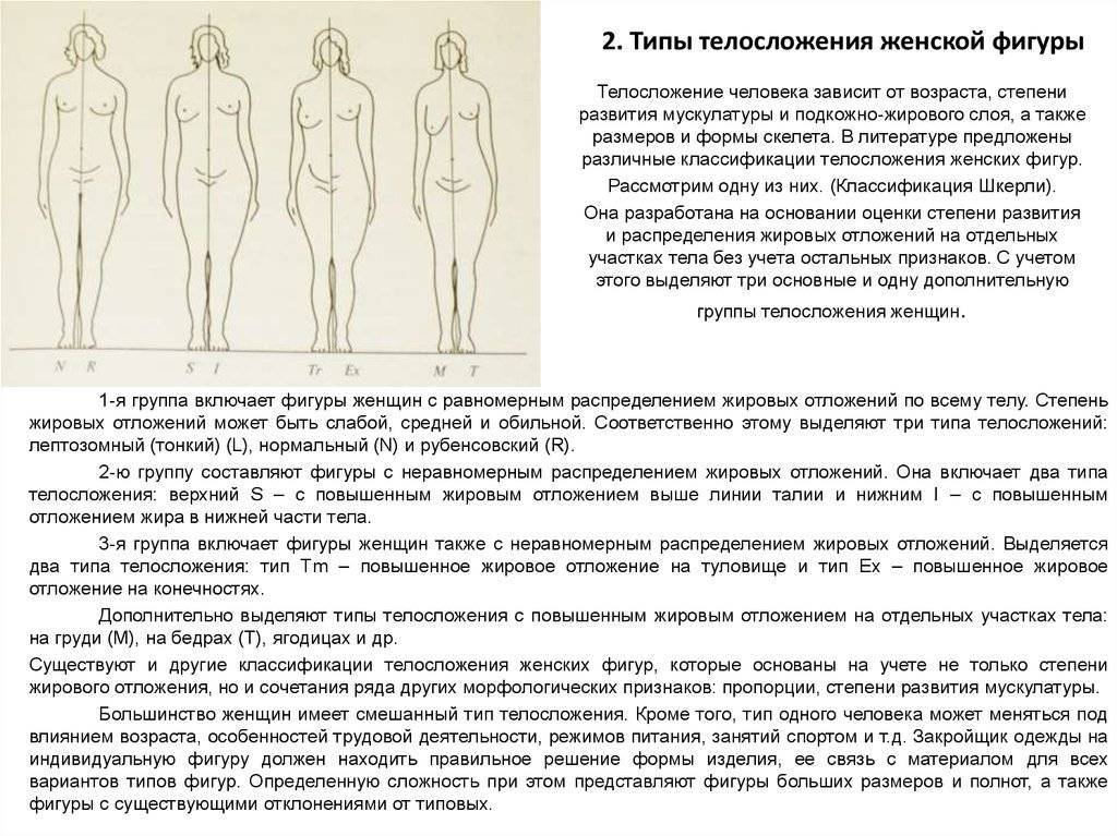Пропорции тела и конституционные типы. | визуальная ревматология