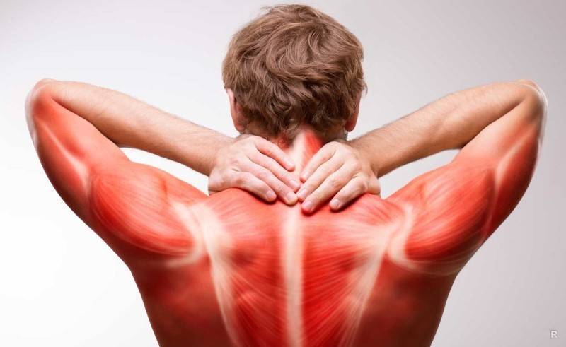 Боль в мышцах после тренировки. что делать, если болят мышцы?