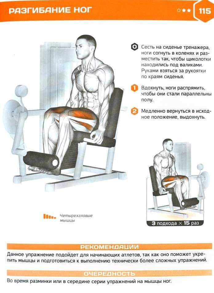 Тренажер эллипсоид: какие мышцы работают, инструкция как правильно заниматься