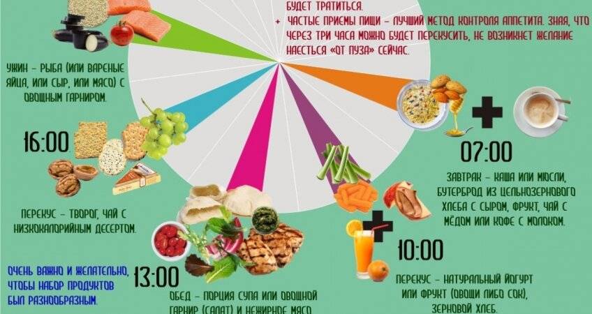 Режим питания: когда, сколько и зачем кушать
