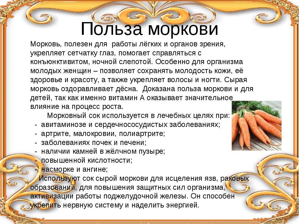 Морковь: состав, калорийность, норма в день. польза и вред